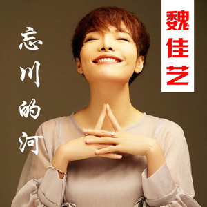 魏佳艺cd光盘忘川的河走在冷雨中女歌手热门流行音乐车载无损碟片