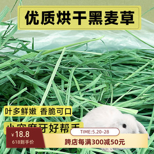 24年优质烘干黑麦草兔子龙猫豚鼠牧草干草多叶嫩绿香绿净重500g