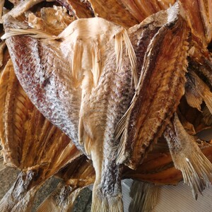 去头黄花鱼鱼干广西北海特产渔民自晒海鱼干淡口干硬约500克一条