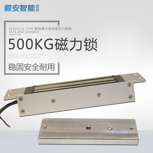 门禁系统电磁铁 磁力锁大号 500公斤弱电12v电控锁 暗装单门防水