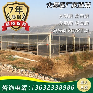 进口防寒丰谷膜pep利得膜保温暖透明大棚膜篷布挡风棚农用加厚膜