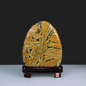 天然黄金白银竹叶石观赏奇石原石节节高升礼品办公室内装饰摆件