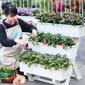 多层种菜盆置物架立体花架神器家庭阳台专用箱花盆塑料草莓种植箱