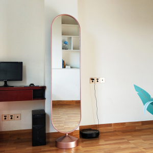 轻奢全身落地式穿衣镜家用卧室ins风360度可旋转立体圆形更试衣镜