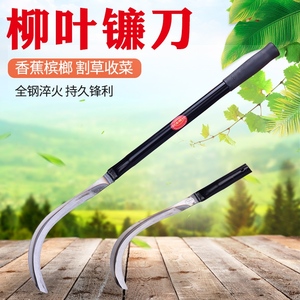 广东槟榔