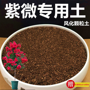 紫微土种桩盆栽土酸性红砂土专用土风化土赤玉土盆景土种植土