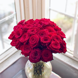 红玫瑰卡罗拉鲜花速递上海同城情人节20支/扎江浙沪皖2扎包邮