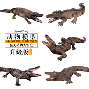 儿童仿真野生动物玩具模型鳄鱼扬子鳄野猪鳄长吻鳄非洲鳄帝王鳄