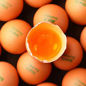 咯喔奇叶黄素鸡蛋20枚 农家生态新鲜蛋学生营养餐 礼盒装破损包赔