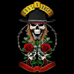 枪炮玫瑰摇滚乐队欧美风潮流印花衣服骷髅头男士夏季背心无袖t恤