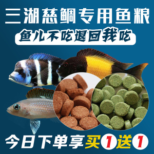 三湖贴片鱼食布隆迪萨伊蓝六间饲料慈鲷饲料坦鲷颗粒贴片鱼粮