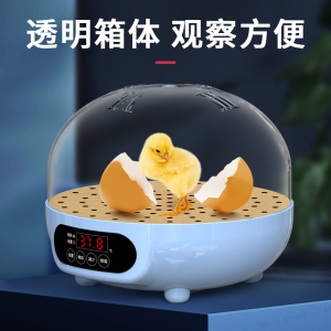 孵蛋器小鸡孵化器小型家用型智能孵化机鹦鹉鸡蛋迷你全自动孵化箱