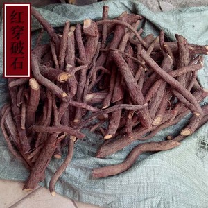 5件包邮正野生中草药材红穿破石 猛公刺 血风藤 青筋藤 铁牛入石