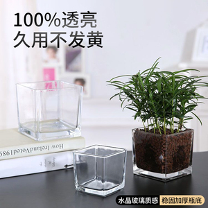简约正方形玻璃水培花盆花瓶透明绿萝水养植物器皿乌龟缸摆件插花