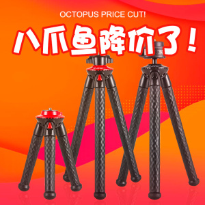 火锅食材八爪鱼