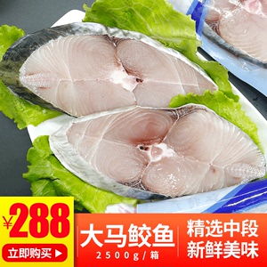 大马鲛鱼新鲜纯中段马胶鱼深海鱼大鲅鱼湛江特产礼品5斤海南 味道