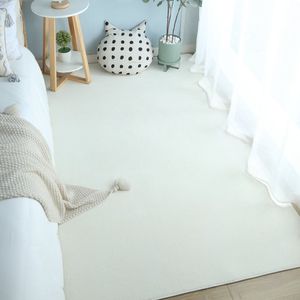 短绒地毯客厅卧室床边榻榻米飘窗阳台衣帽间简约大面积定制纯色垫