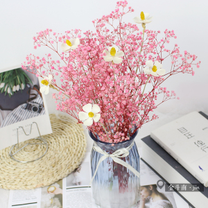 满天星永生花ins粉色干花少女心客厅餐桌办公室店铺摆设装饰真花