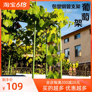 园艺葡萄架钢丝网花卉支撑杆庭院室外大型爬藤植物包塑钢管支架子