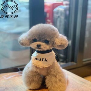 茶杯贵宾犬多少钱_迷你贵宾+玩具贵宾+茶杯贵宾_贵宾茶杯犬图片