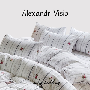 Alexandr Visio春季ins全棉新款四件套小草莓时尚床单被套床品