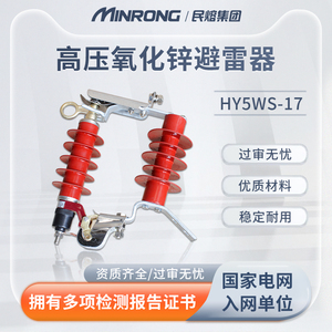 HY5WS-17/50DL-TB高压跌落式防雷器10kv可卸式跌落式氧化锌避雷