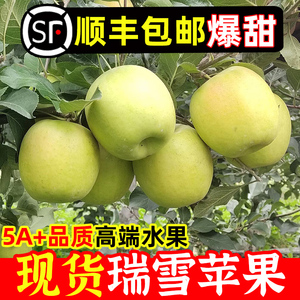 陕西白水瑞雪苹果瑞阳新鲜水果高端应季纯甜多汁玫礼盒青苹apple