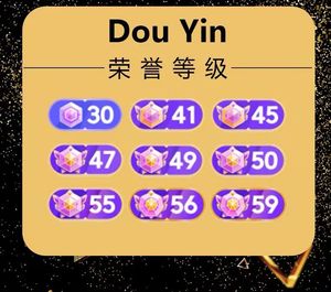 dy2022抖音直播财富等级礼物50-60大号合金支架