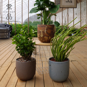 CHANGP常品量天尺仙人掌特大号花盆室内大型绿植多肉植物粗陶花盆