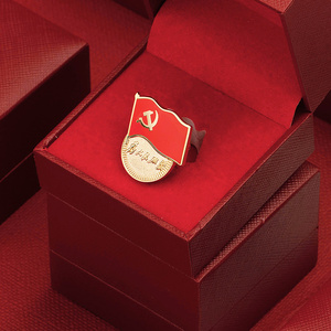 党徽2021年新版胸针标准型磁扣胸章徽章为人民服务胸章吸铁石胸徽别针