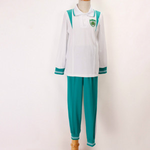 广州市天河区华融小学校服 秋季运动服 望子成龙 子子成龙