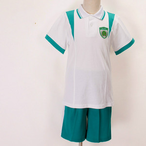 广州市天河区华融小学校服 夏季运动服 望子成龙 子子成龙