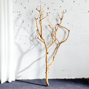 装饰造型树原木去皮本色枯树干枝树干创意橱窗饰品落地摆件干树枝