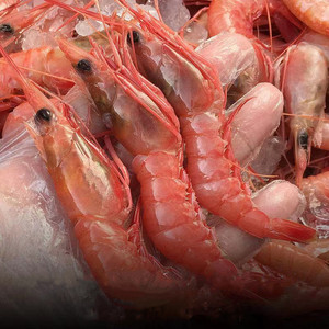 【鲜大红虾仁】鲜大红虾仁品牌,价格 - 阿里巴巴