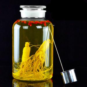 药酒洒坛玻璃罐家用缸酒坛酿人参酒泡酒酒坛子空瓶子泡药日式