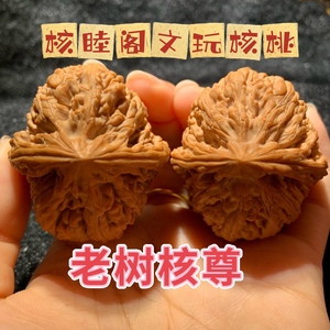 文玩核桃狮子头核尊野生小众精品收藏级手把件老树麻核桃