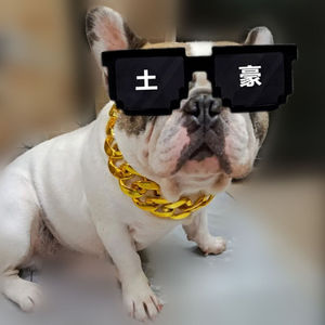 狗狗大金链子猫咪法斗带的金链子狗猫项链宠物项圈直播拍视频拍照