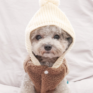 泰迪狗狗衣服戴帽