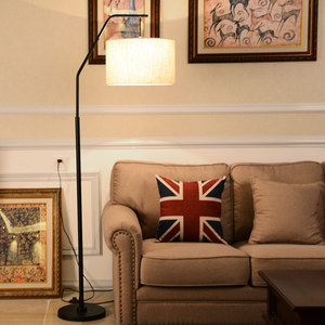 客厅落地灯极简轻奢北欧美式沙发角旁边的钓鱼灯卧室立式落地台灯