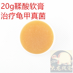 爬虫爬宠陆龟水龟半水龟黄头龟甲发白真菌鞣酸软膏包邮
