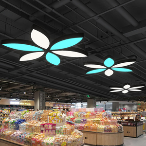 朗橘 超市商场吊灯led工业风造型灯定制健身房展厅创意异形灯具