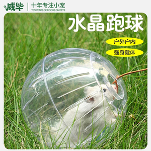 仓鼠水晶跑球滚轮跑轮松鼠金丝熊蜜袋鼯透明外带遛鼠神器运动球