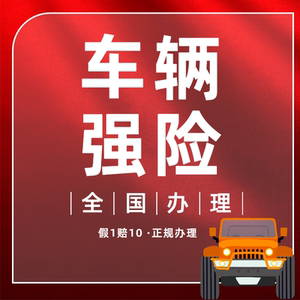 全国办理机动车交强险汽车强险投保车险代缴保单车辆车船税保险单