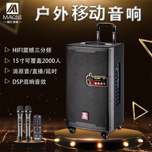 曼龙电瓶音响