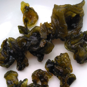 新鲜地皮菜湖南野生地木耳地软地衣地达菜雷公菌非免洗拍3件包邮