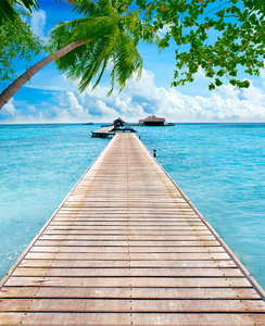 快手抖音新直播背景布立体主播墙3d山水风景沙滩海景室外风景荷花