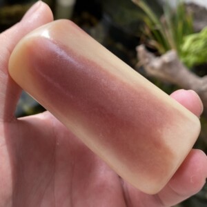 天然骆驼骨血料满蝌蚪纹手工雕刻未脱脂驼骨素手把件吊坠藏式文玩