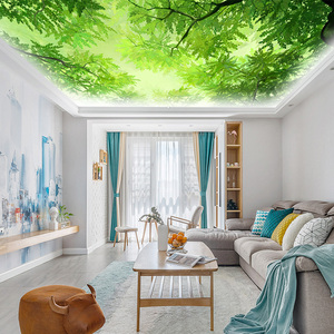 天花板透光装饰