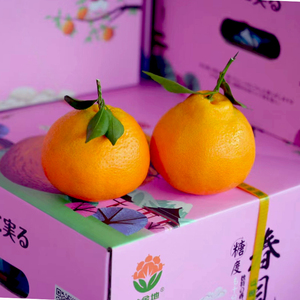 乐果鲜果 春见耙耙柑 礼盒装新年送礼精品当季新鲜水果 丑柑 橘子