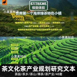 茶文化主题公园茶产业文旅游茶园乡茶山景区景观规划设计文本素材